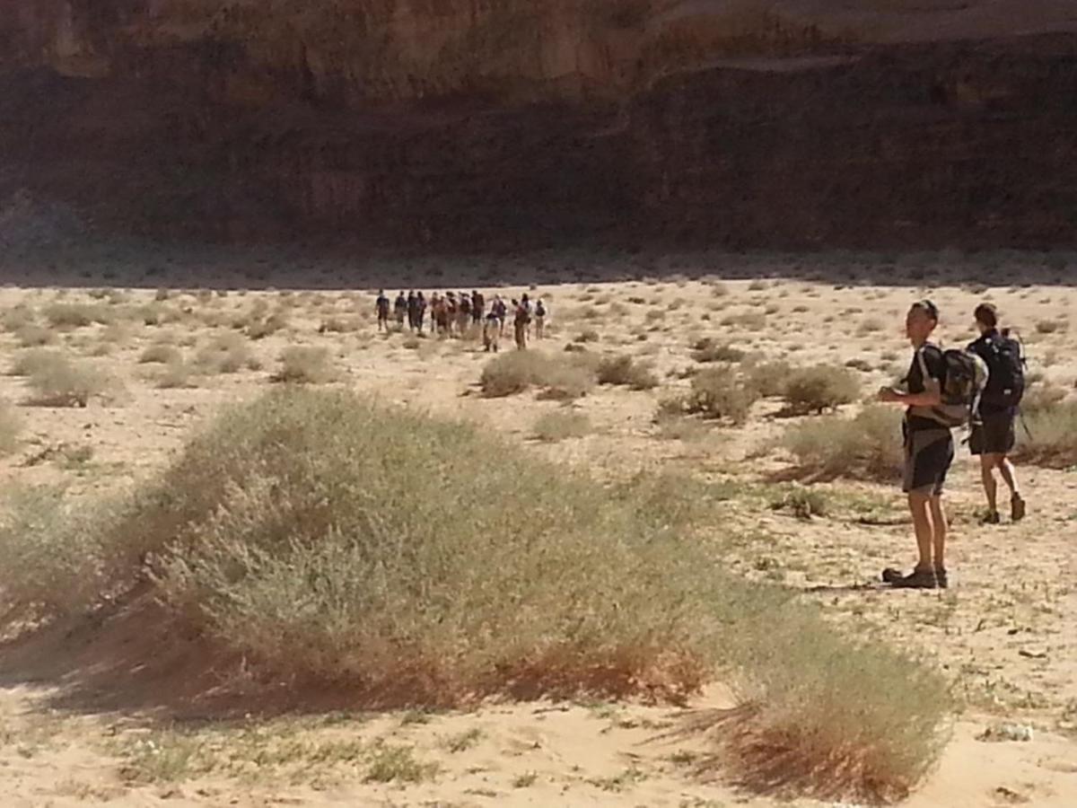 Zawaideh Desert Camp Wadi Rum Exterior foto